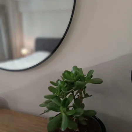 La Maison D Antoine 라리사